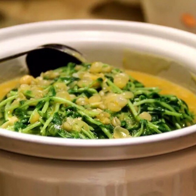 豆汤豆苗