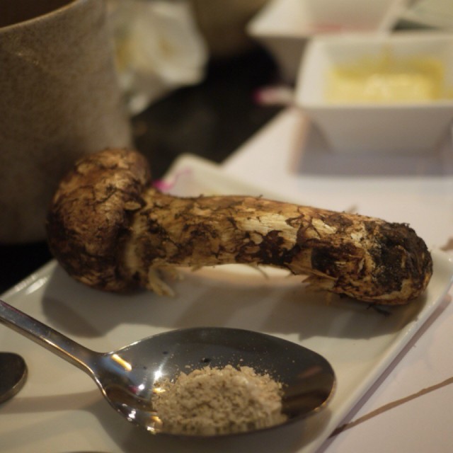 铁板松茸