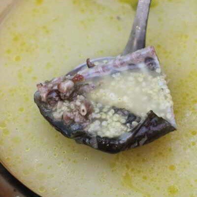 小米甲鱼炖土鸡养生锅