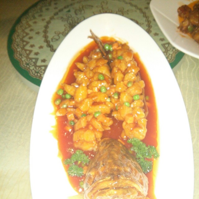 松鼠桂鱼