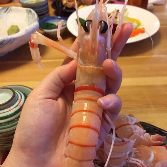 新西兰敖虾