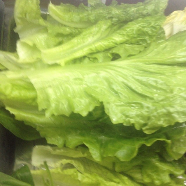 生菜