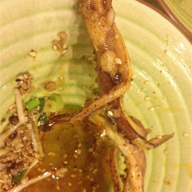 鱿鱼