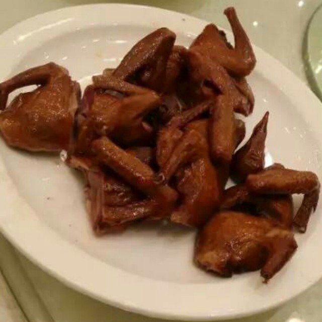 乳鸽