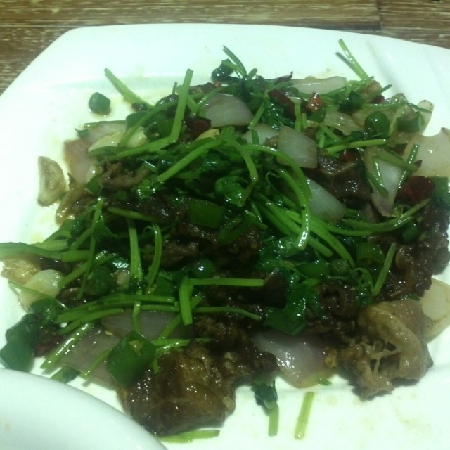 香菜肥牛