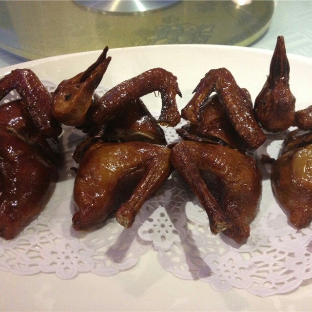 红烧软骨太子鸽