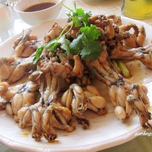 炭烤蛙