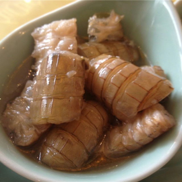 糟濑尿虾