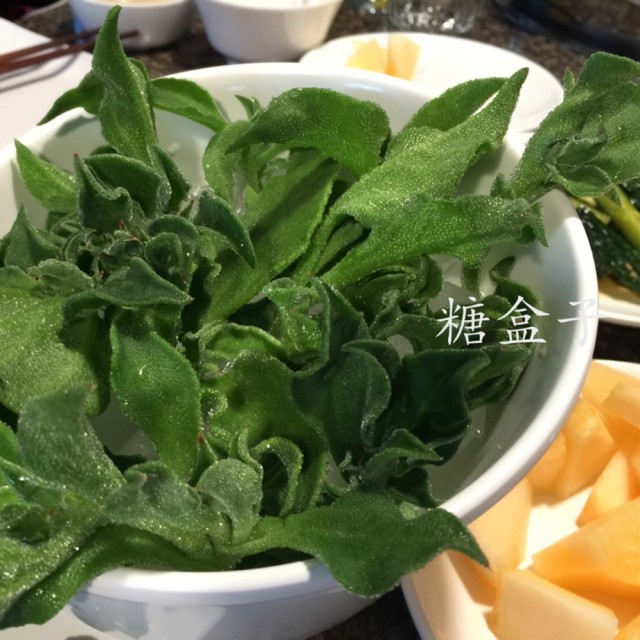 非洲冰草