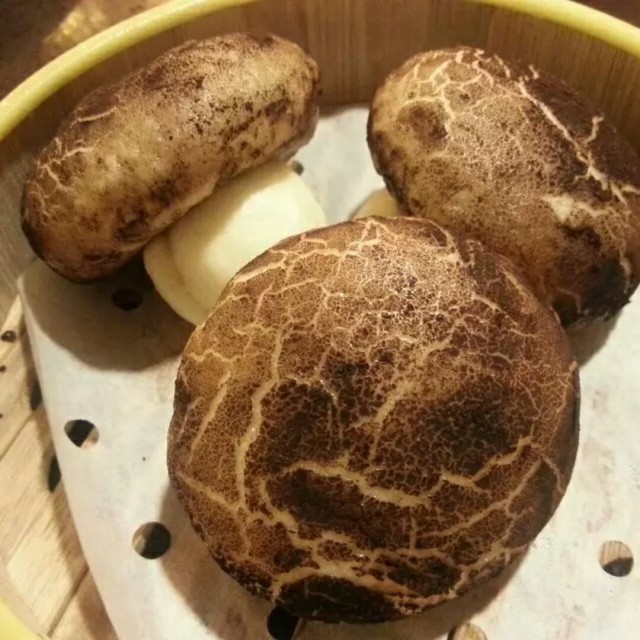 蘑菇包