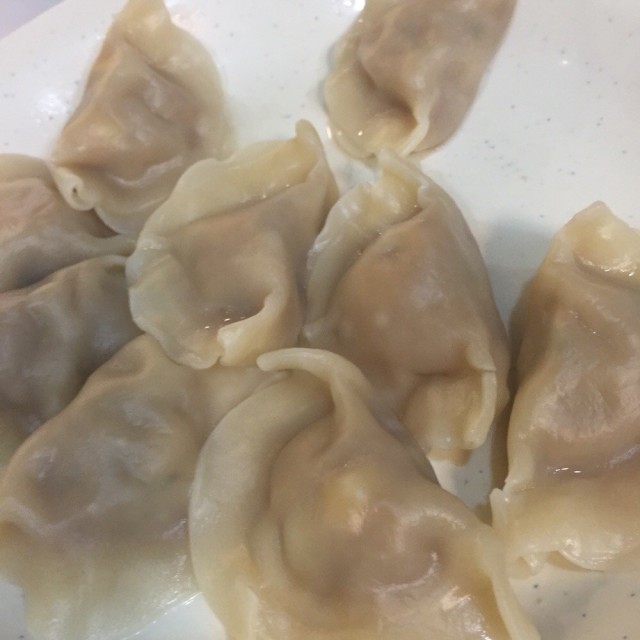 白菜猪肉水饺