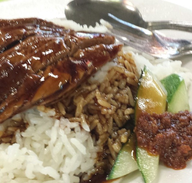 Braised Duck Rice