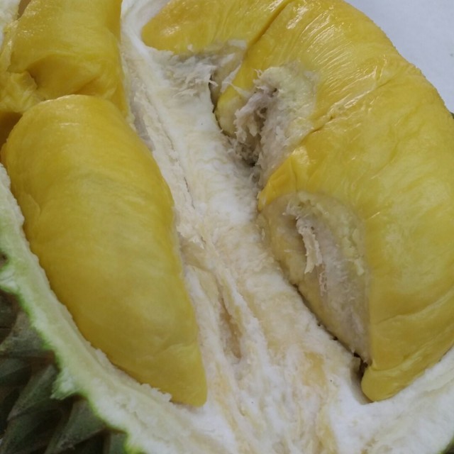 Mao Shan Wang Durian