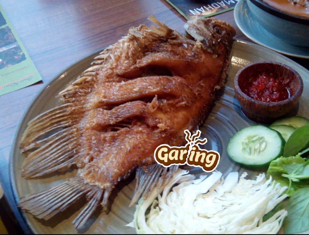 Gambar Ikan Gurame Goreng - Gambar Hitam HD