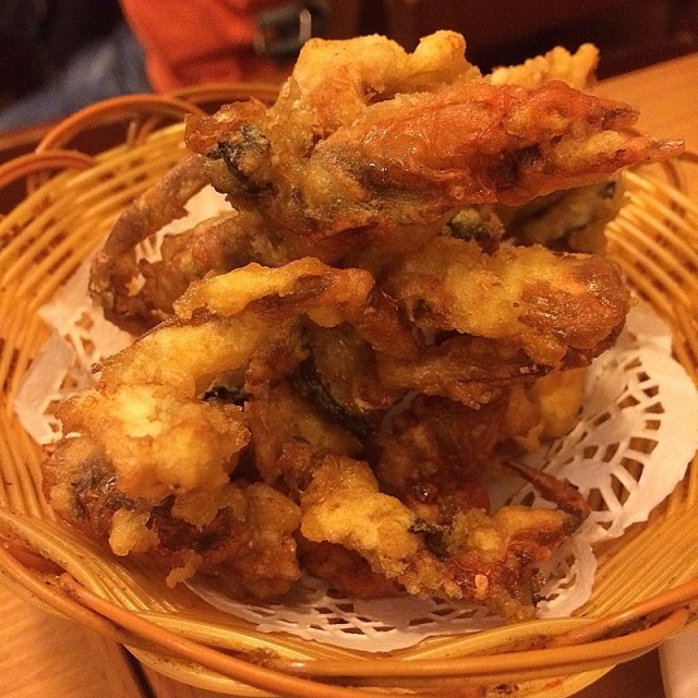 昭拍耶