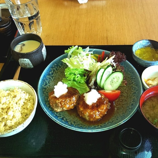 Beef Hamburger Zen with Brown Rice