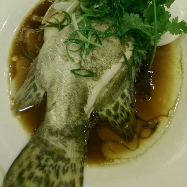 魚