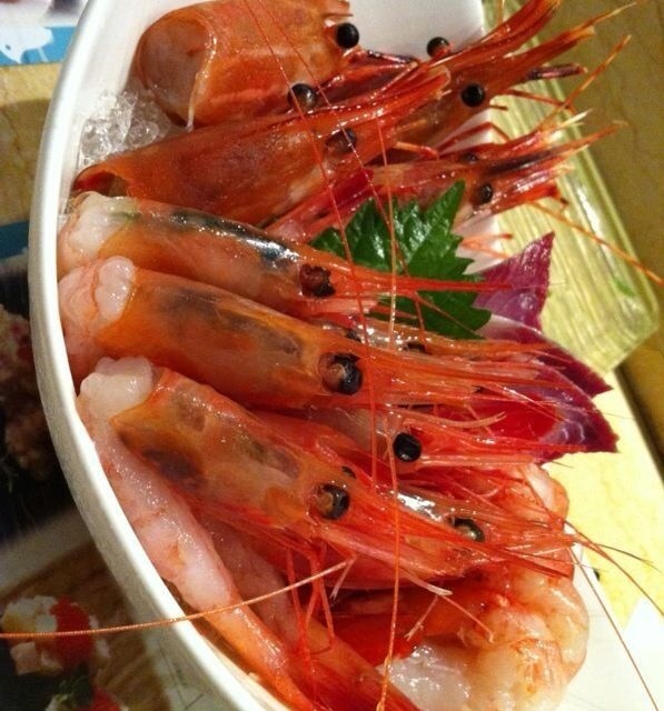 Sashimi