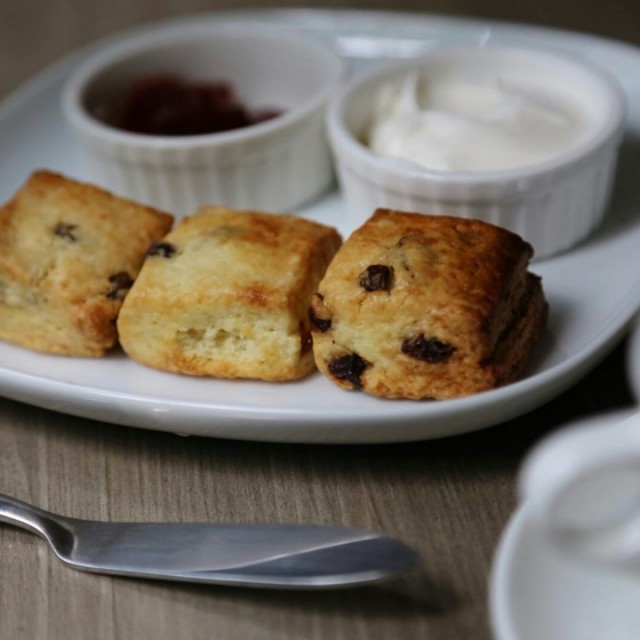 誓要為左佢再造訪！