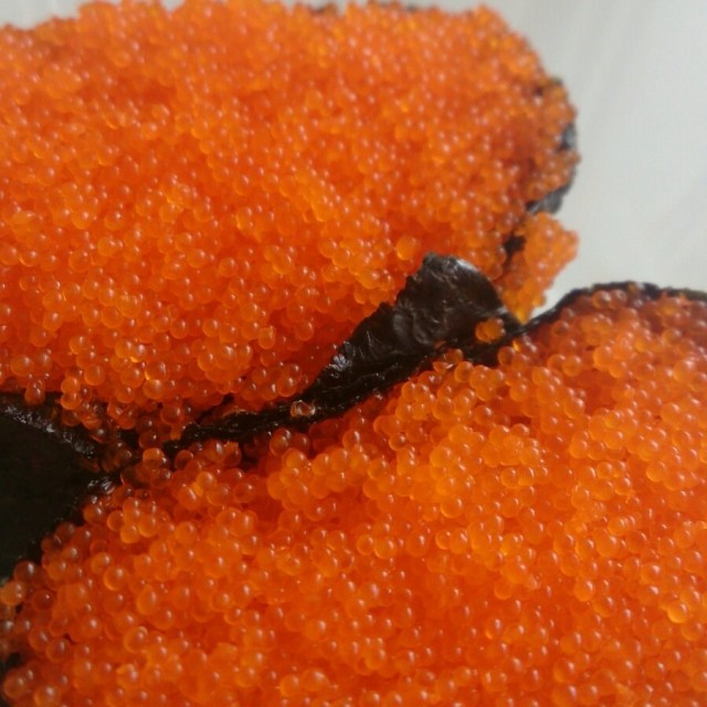 Ebiko Gunkan