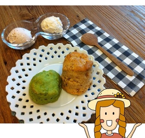 Matcha Scone