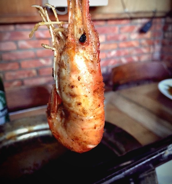 大小不一共21隻！