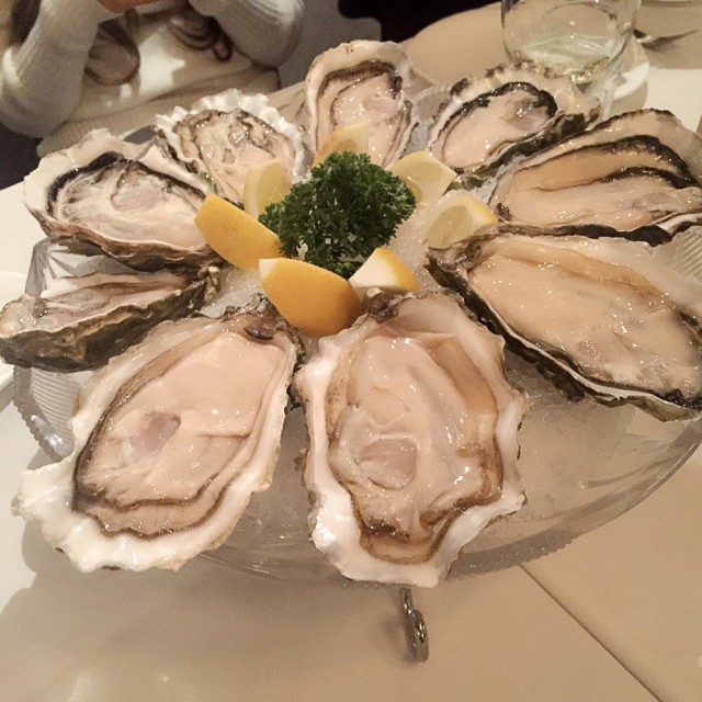 Fresh Oysters