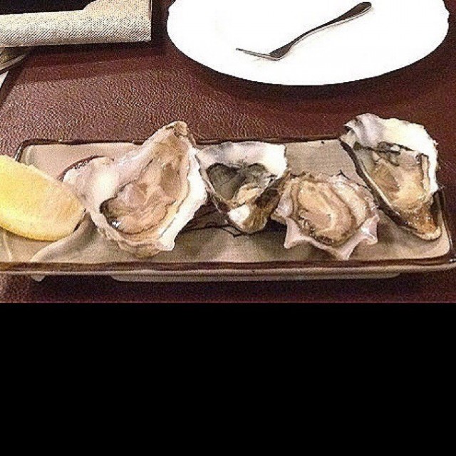 Oyster 