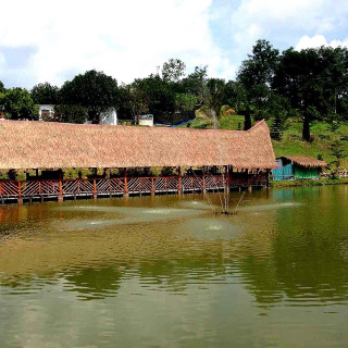 Rim Naam Fine Dining Thai Restaurant Bengaluru The Oberoi Bengaluru