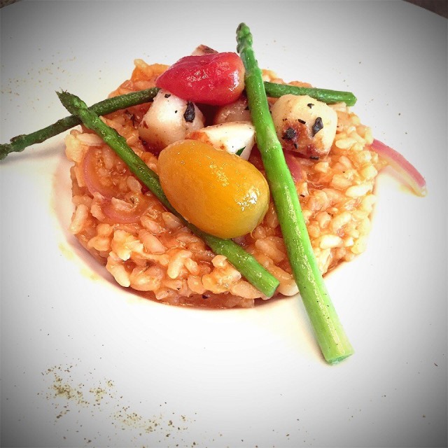 Risotto with scallop