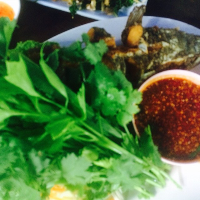 ปลาช่อนลุยสวน