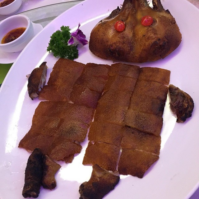 乳猪