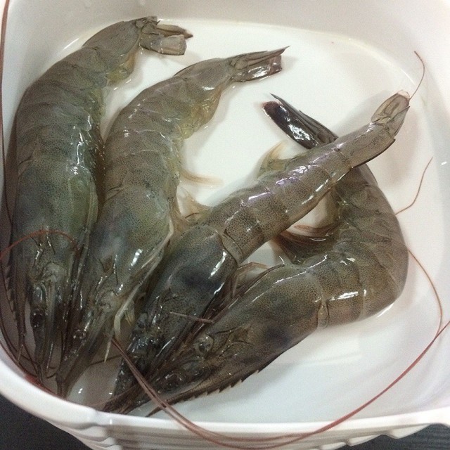 Prawns