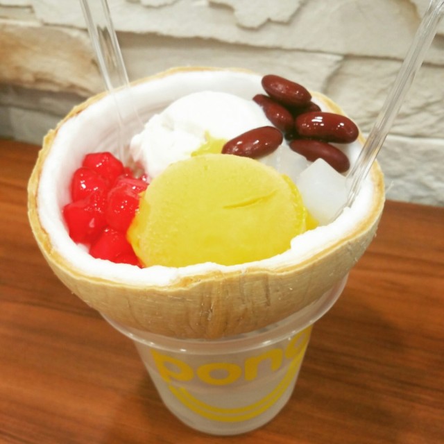 Coconut Gelato + Sorbet in Husk