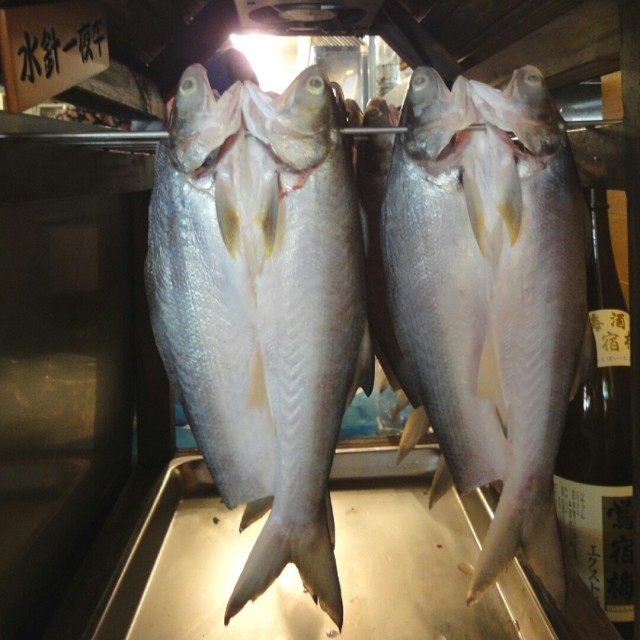 午魚ㄧ夜干