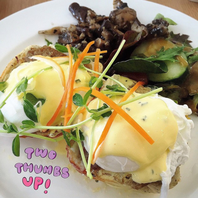 Duck and Eggs