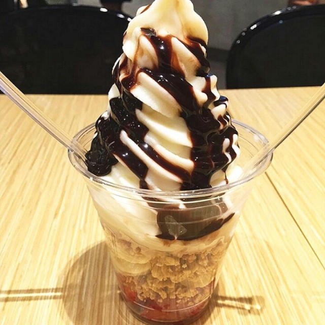 frozen yogurt delight 