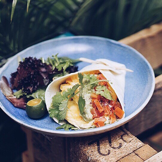 Breakfast Burrito