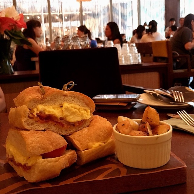 Breakfast Hangover Sandwich