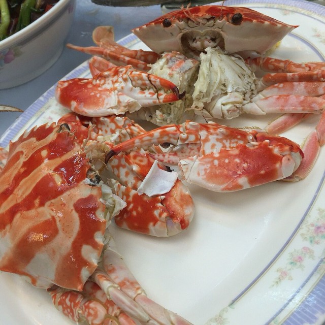 多肉得來，肉質也不錯呢！