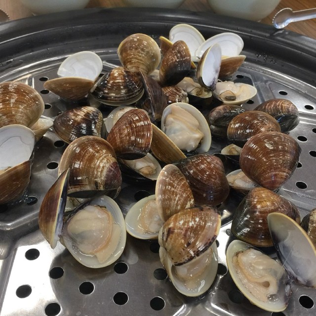 大蛤蜊