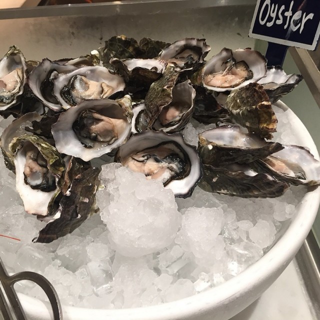 Oysters
