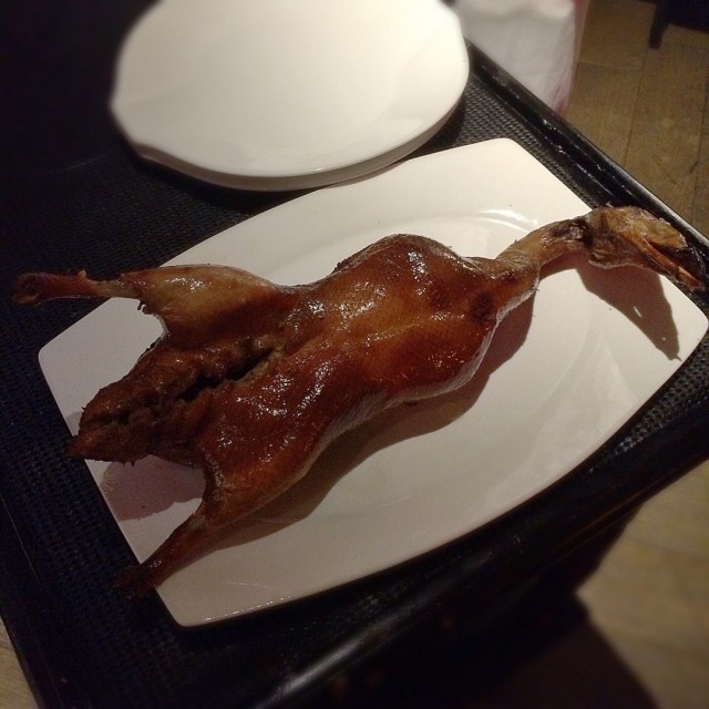 先知鴨