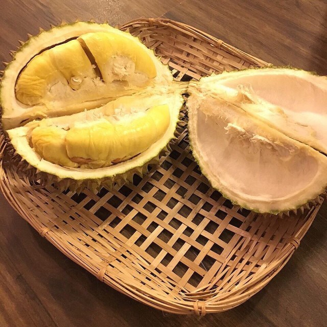Suri an