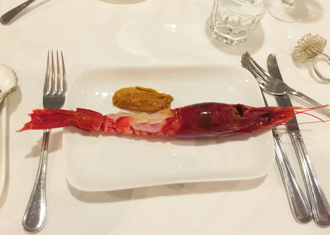 珍宝西西里红虾