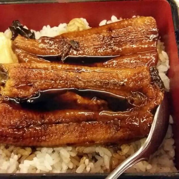 ข้าวหน้าปลาใหลย่าง