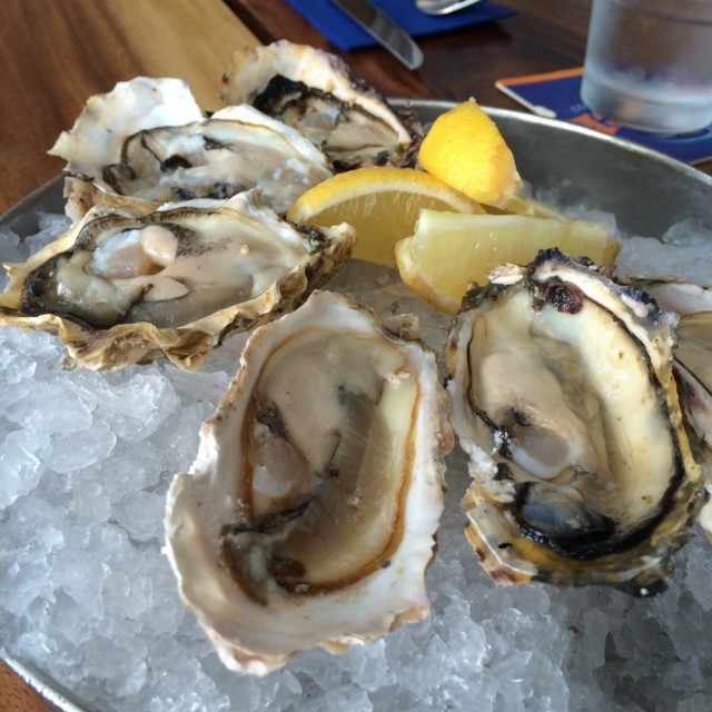 Oysters