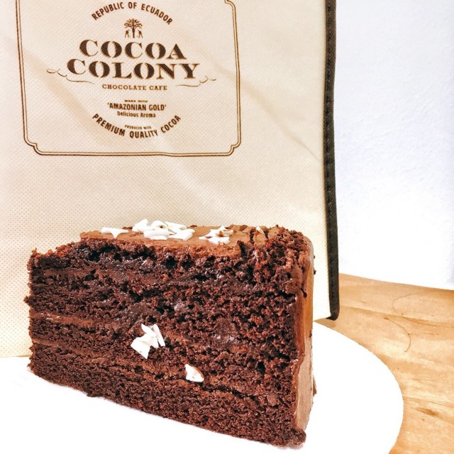 dark chocolate cake