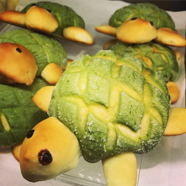 Turtle Matcha Pan