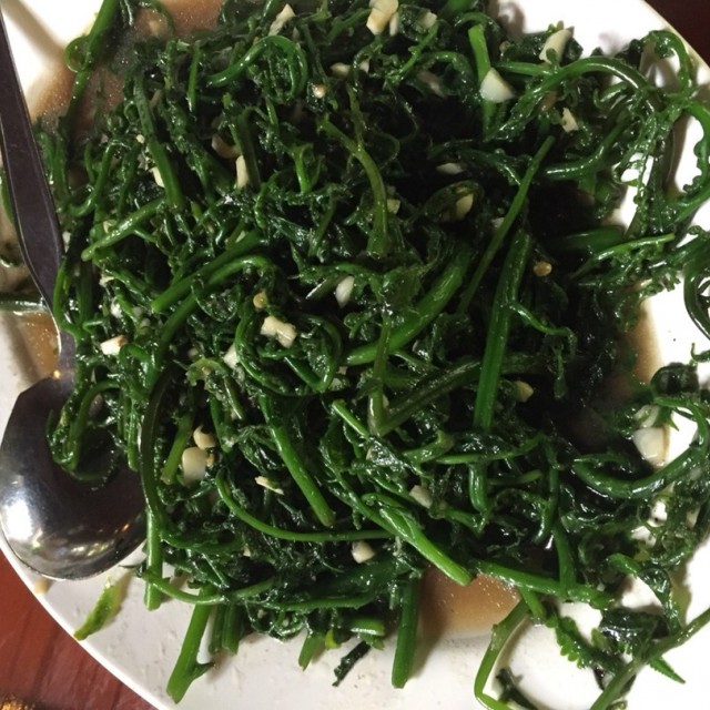 ผัดซาโยเต้